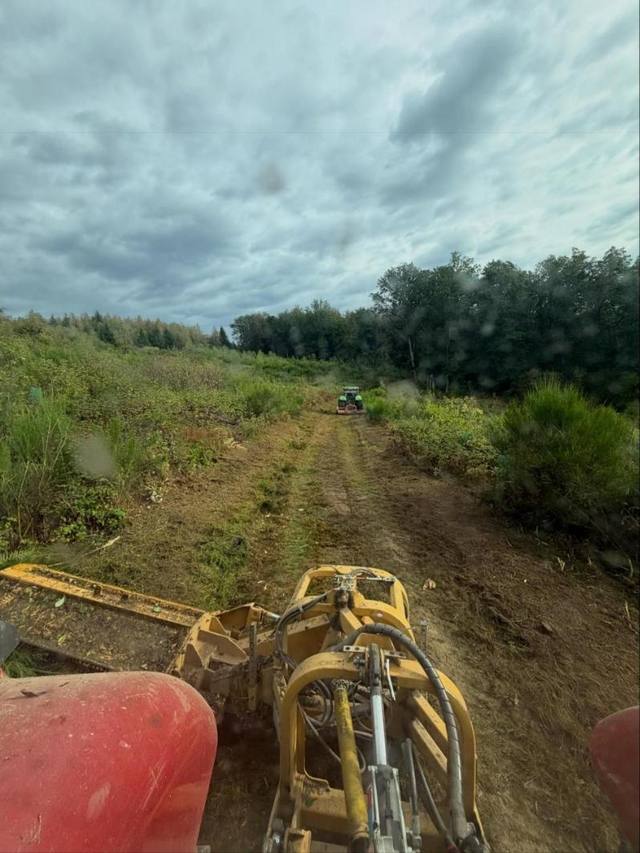 Mulcher am Schlepper beim Freischneiden eines Weges