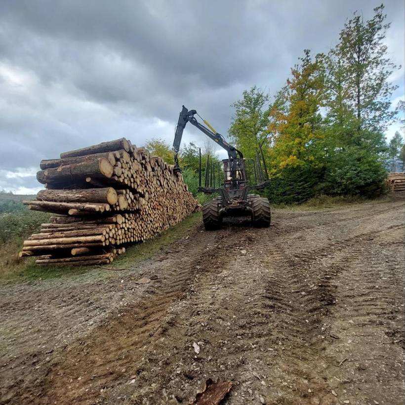 Rückezug beim Poltern am Waldweg